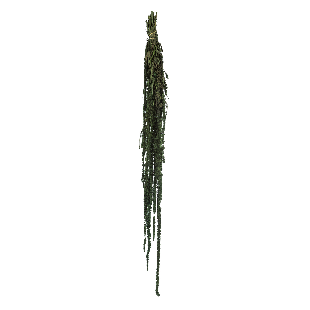 Vickerman 30" Amaranthus Bundle, Preserved