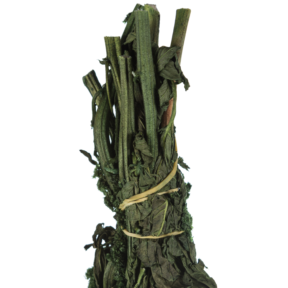 Vickerman 30" Amaranthus Bundle, Preserved