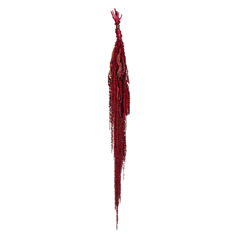 Vickerman 30" Amaranthus Bundle, Preserved