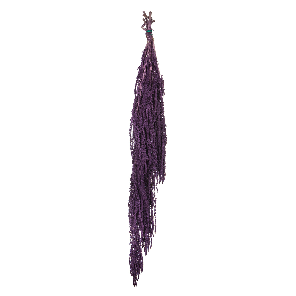30" Amaranthus Bundle