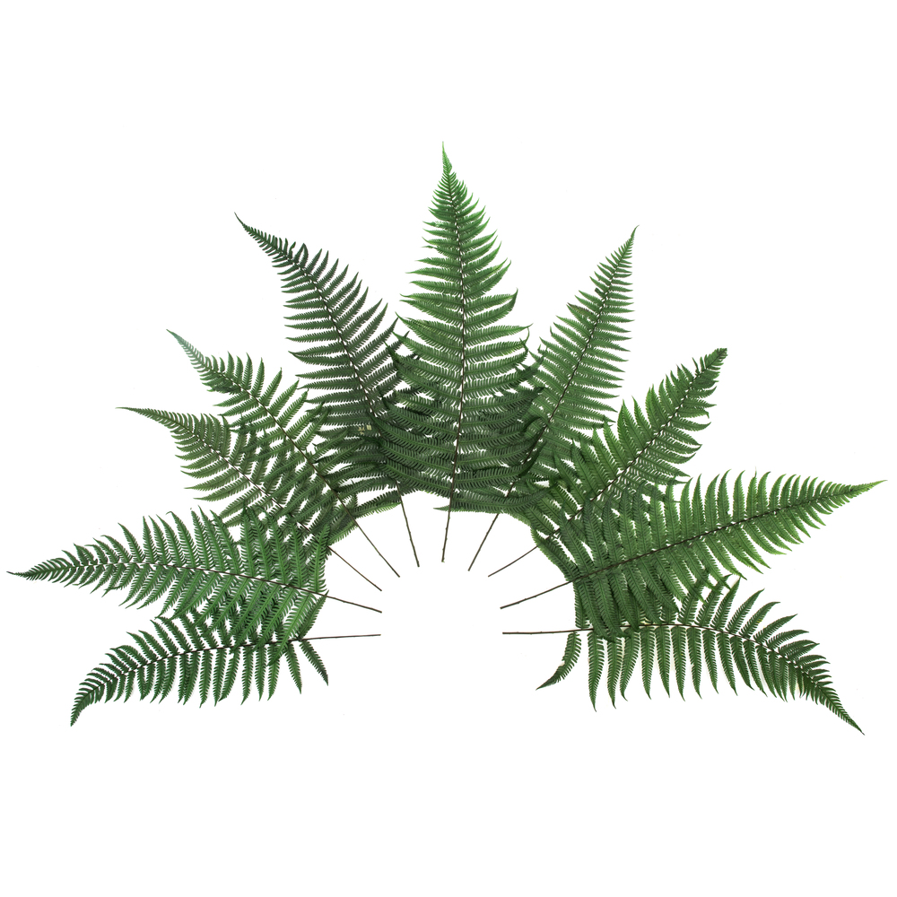 16-18" Green Parchment Fern Stem 10/Pk