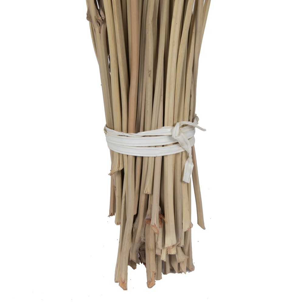 36-38" Natural Deglet Nour Branch Bundle