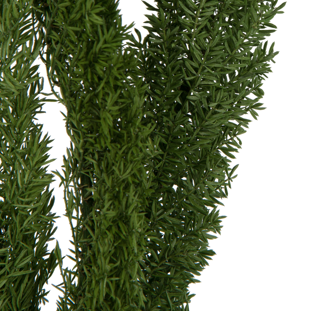 8-10" Green Foxtail Fern 16 Stem Bunch