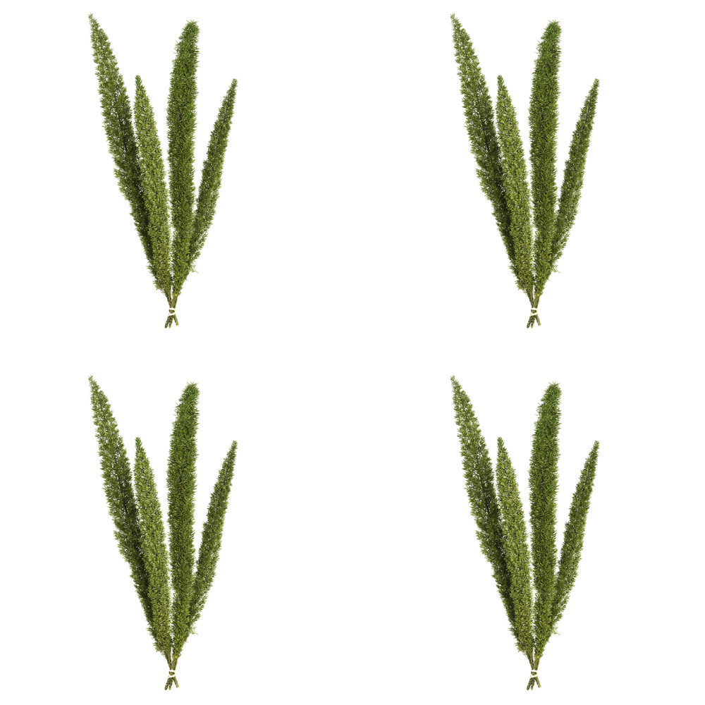 8-10" Green Foxtail Fern 16 Stem Bunch