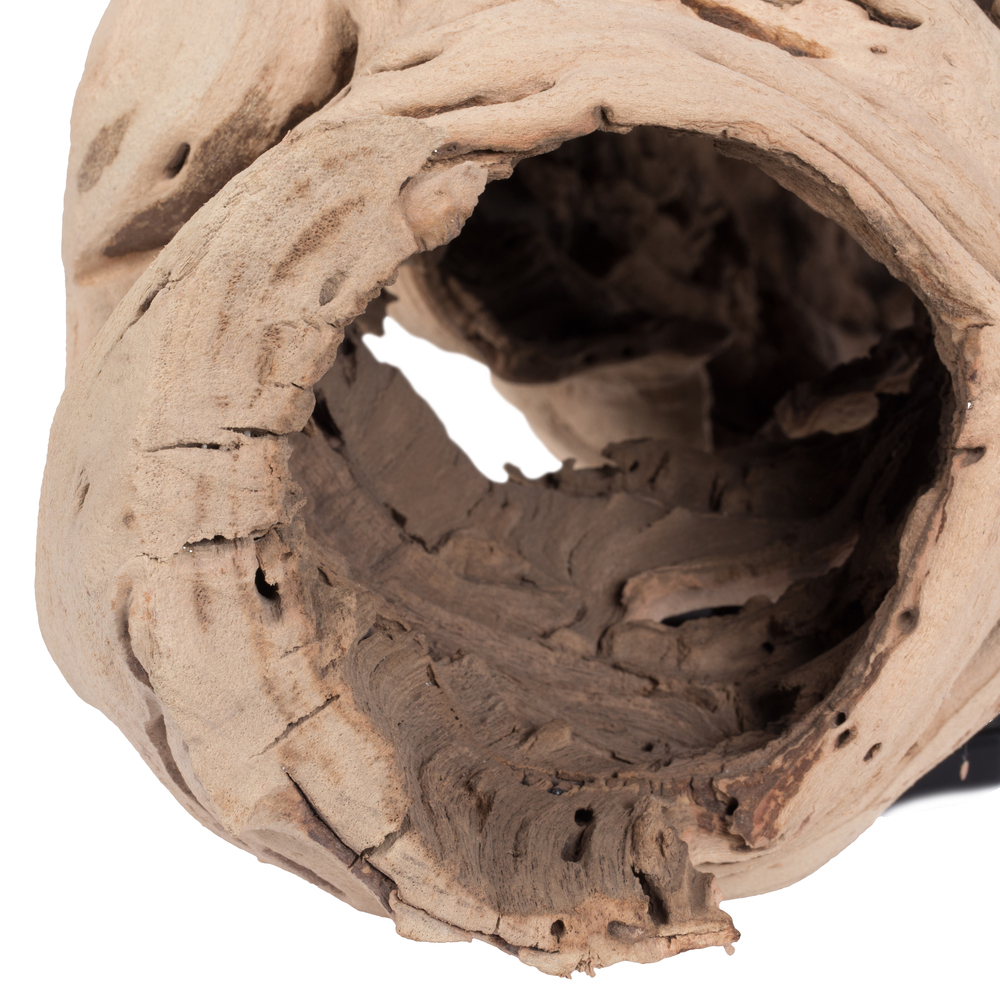 Vickerman Grapewood Urns, Dried