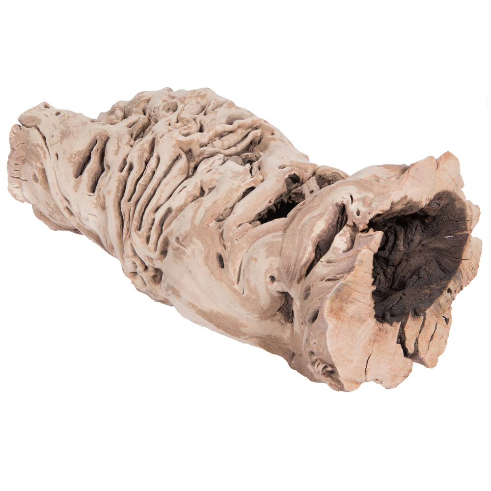 12-14" Grapewood Urn SB Whole