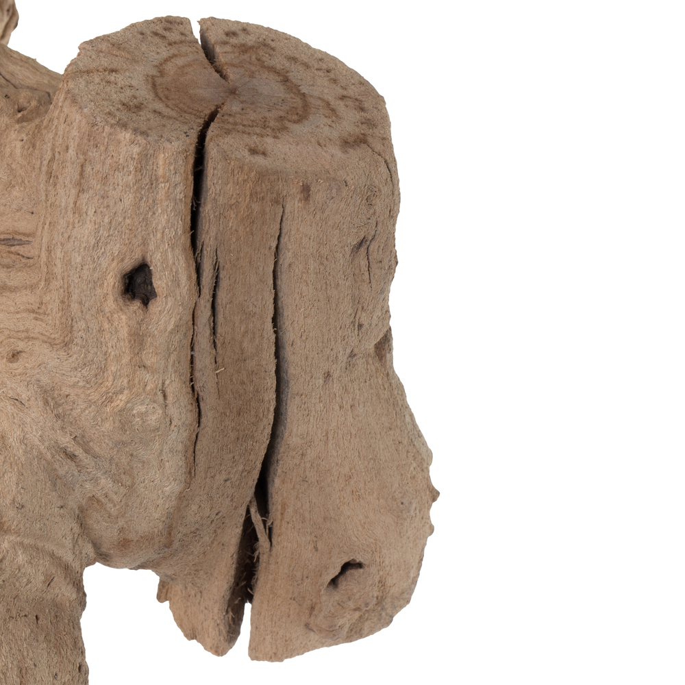 Grapewood Trunk Branch SB
