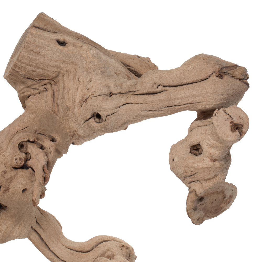 Grapewood Trunk Branch SB