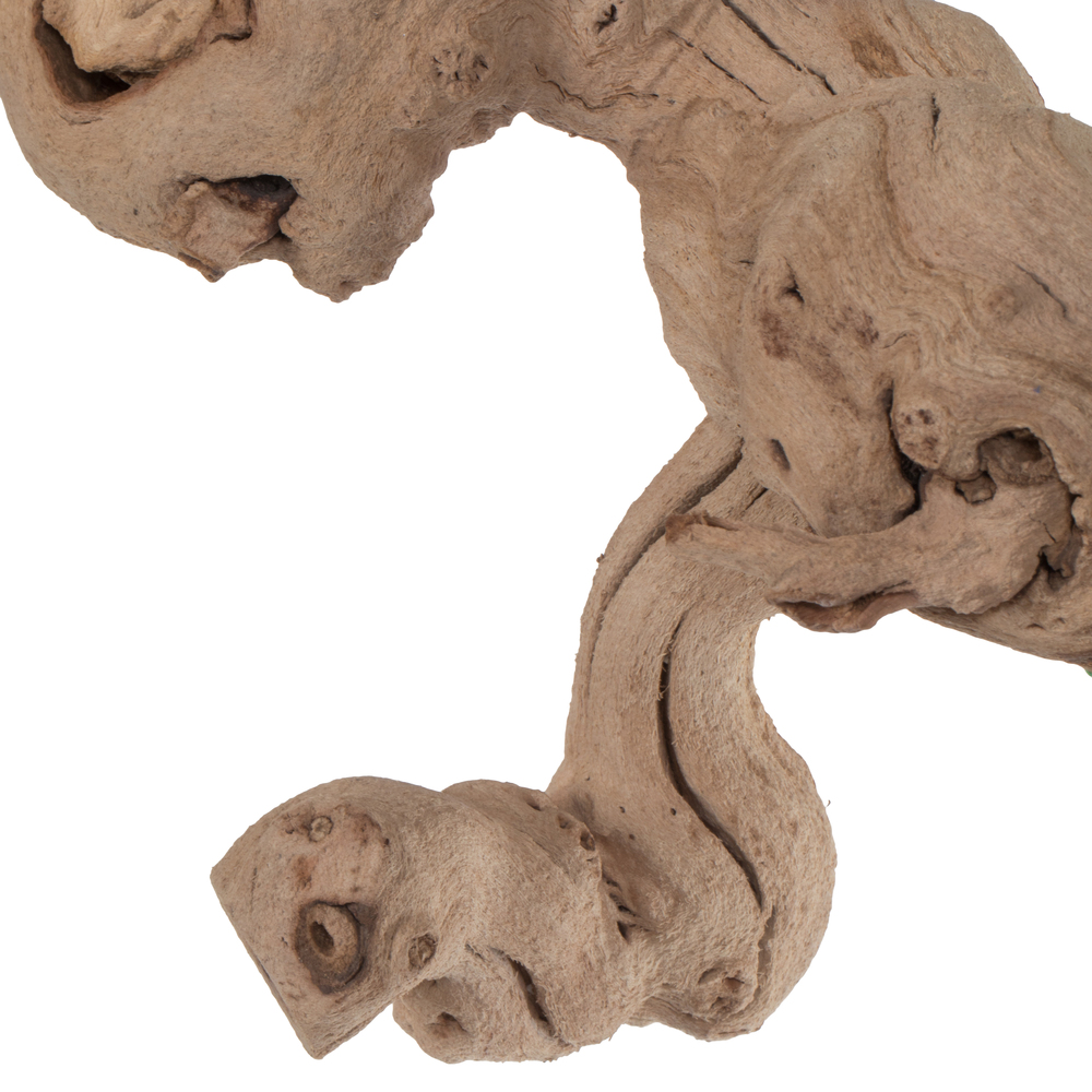 Grapewood Trunk Branch SB