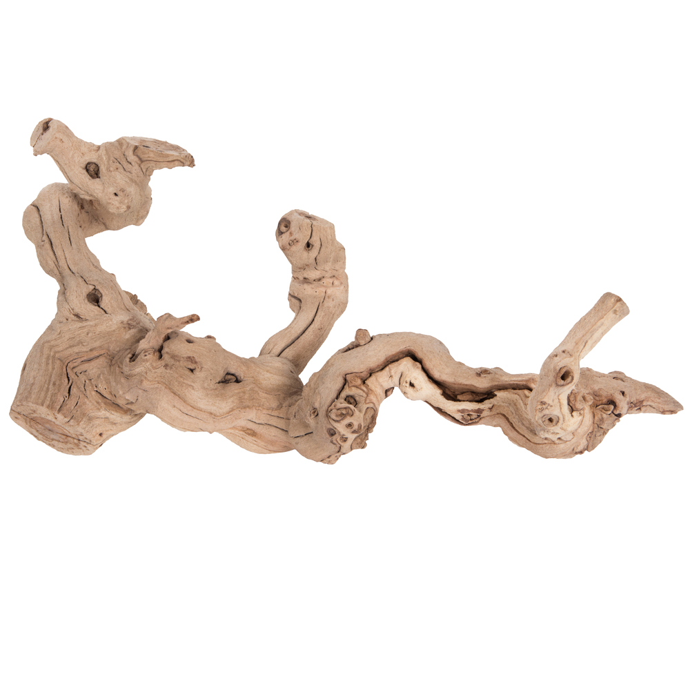 Grapewood Trunk Branch SB