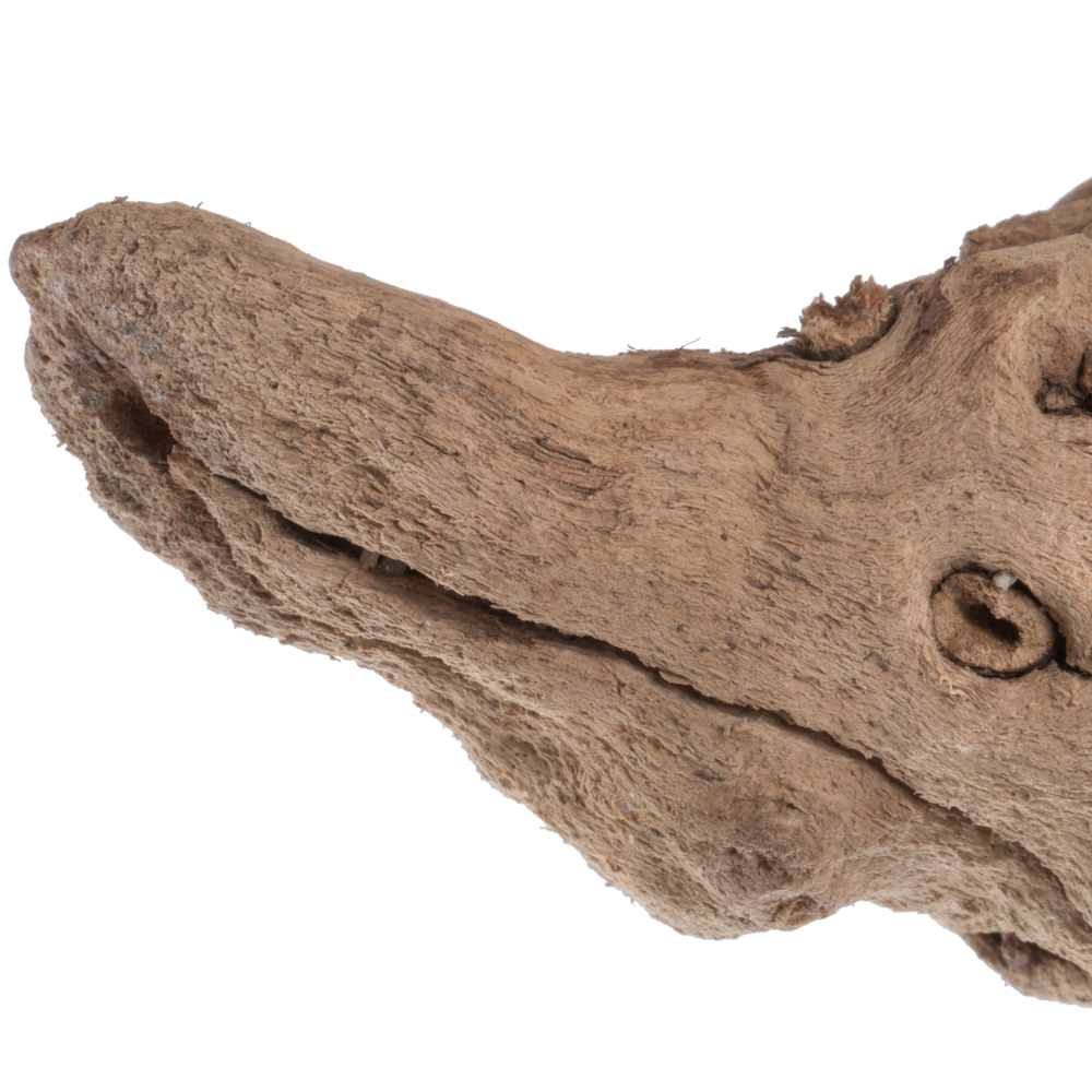 Grapewood Trunk Branch SB