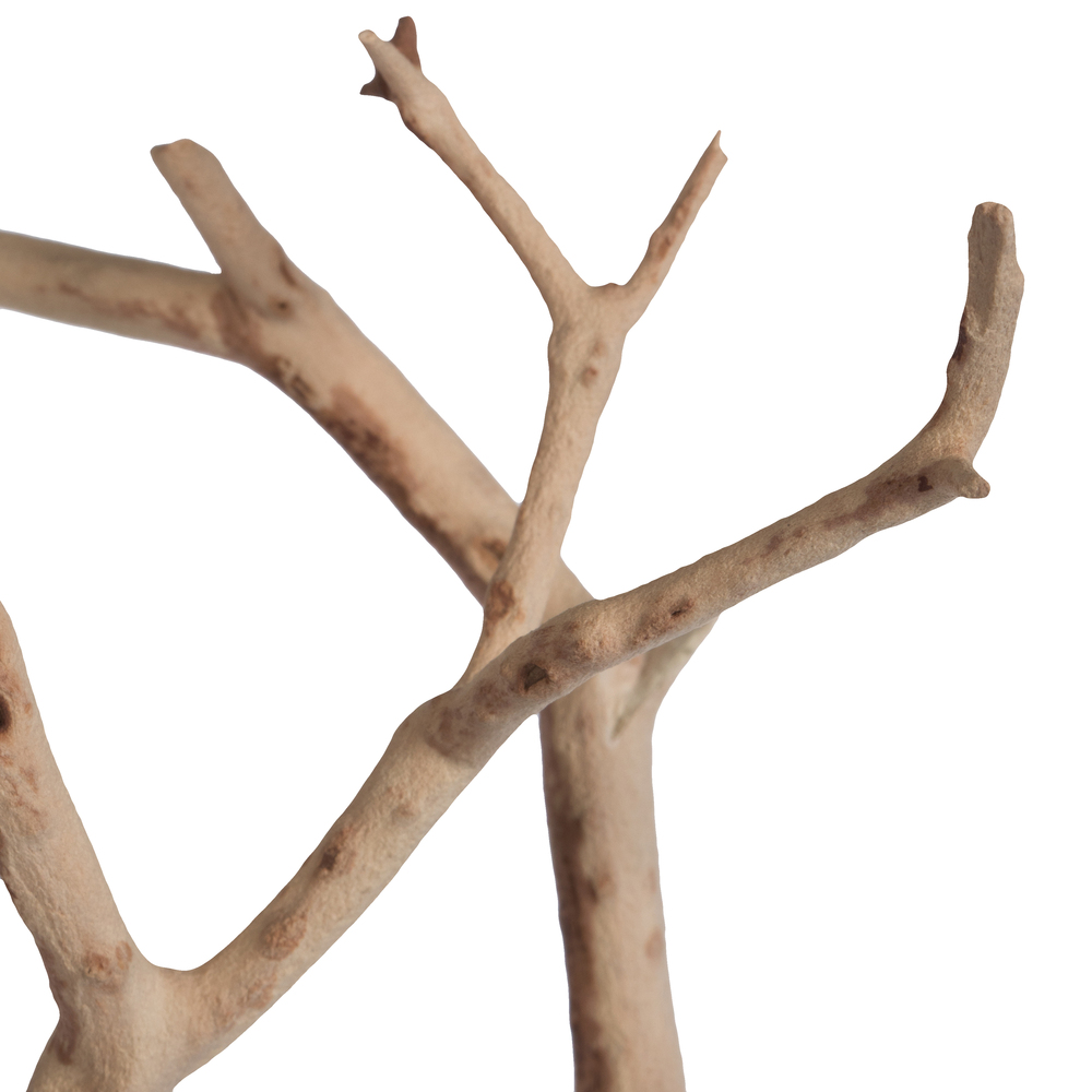 Vickerman Manzanita Tree Branch, Dried