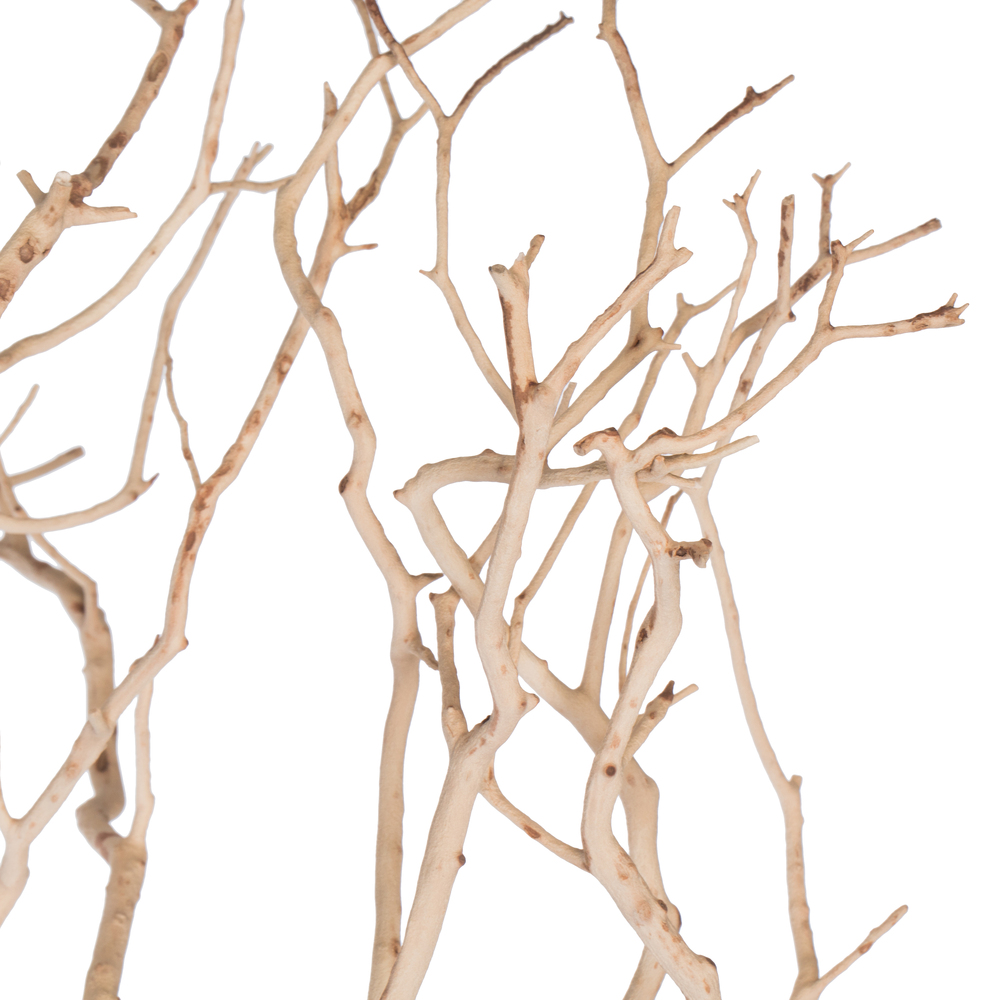 Vickerman Manzanita Tree Branch, Dried