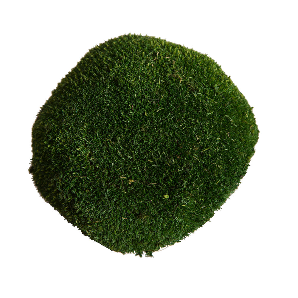 1 Lb. Apple Green Pole Moss