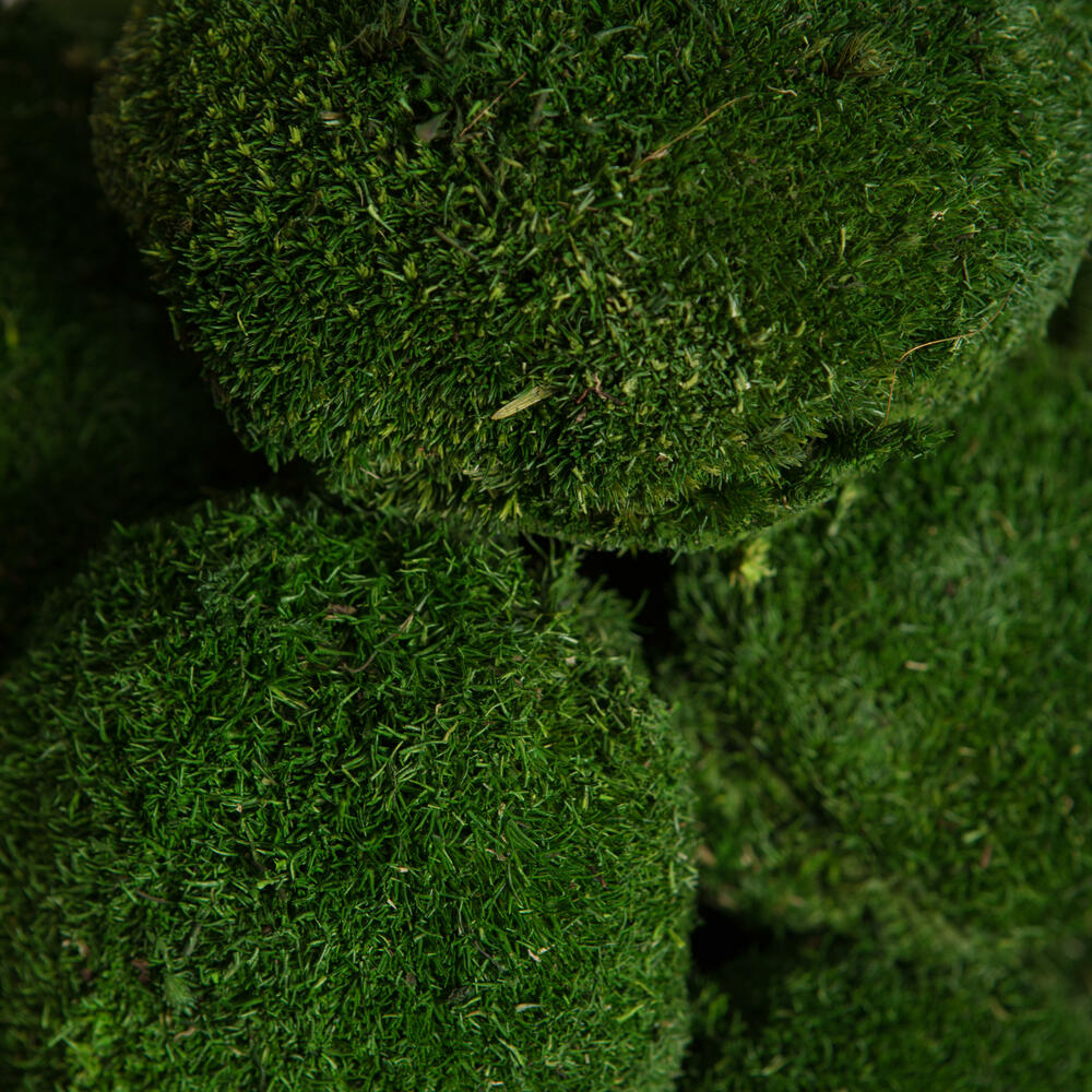 1 Lb. Apple Green Pole Moss