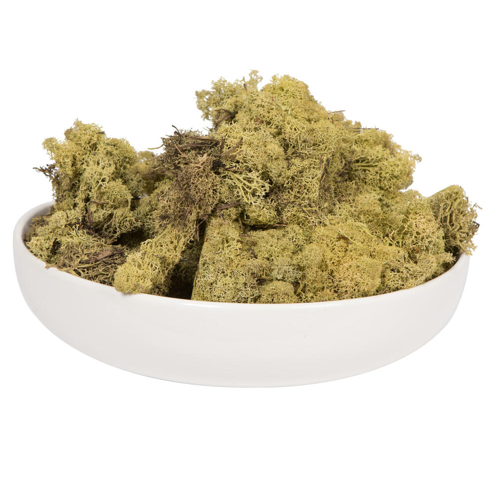 Vickerman Natural Botanicals Reindeer Moss