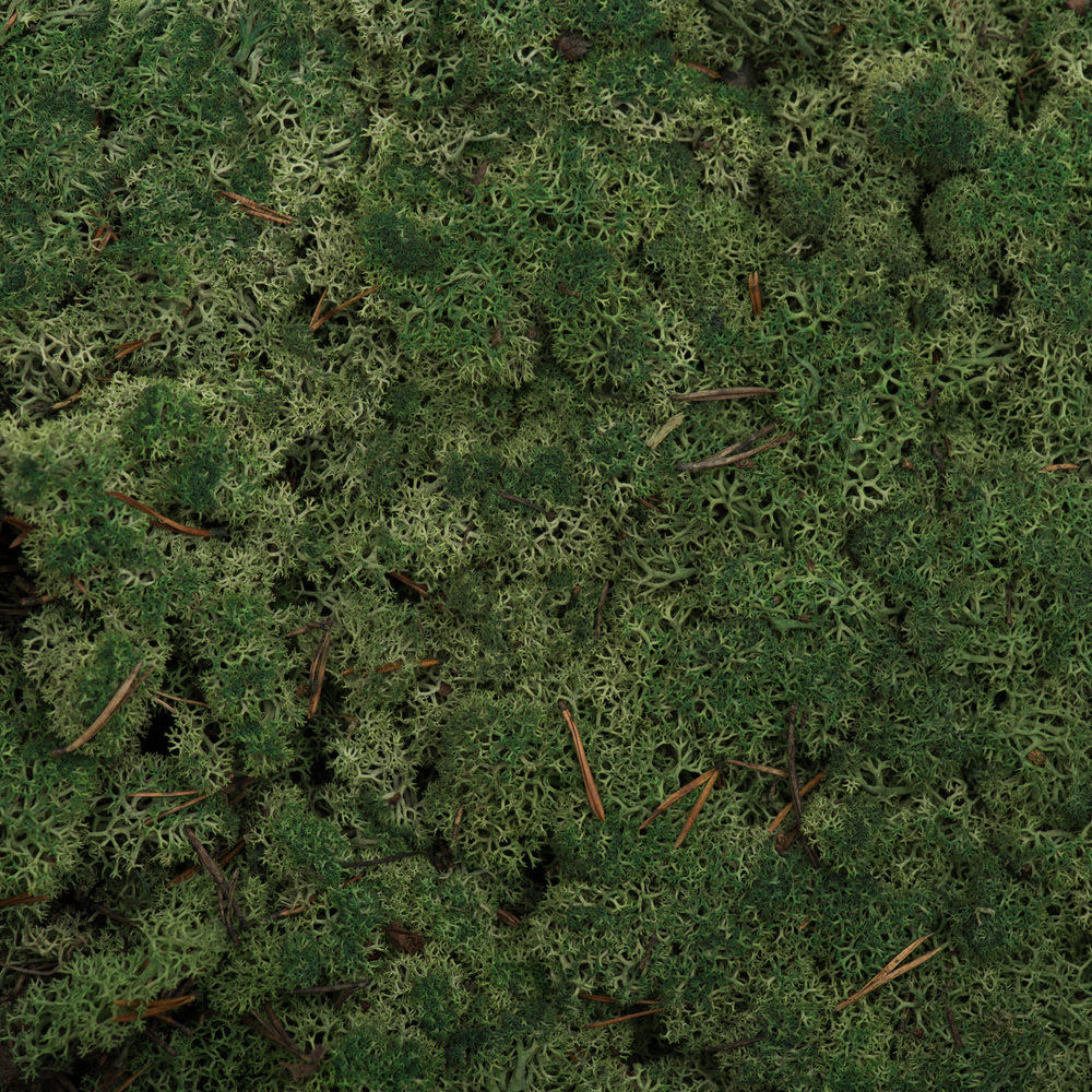 Vickerman Natural Botanicals Reindeer Moss