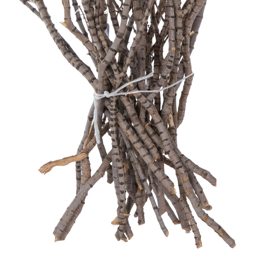 36" Tigerwood Stem Bundle - 25/Pk