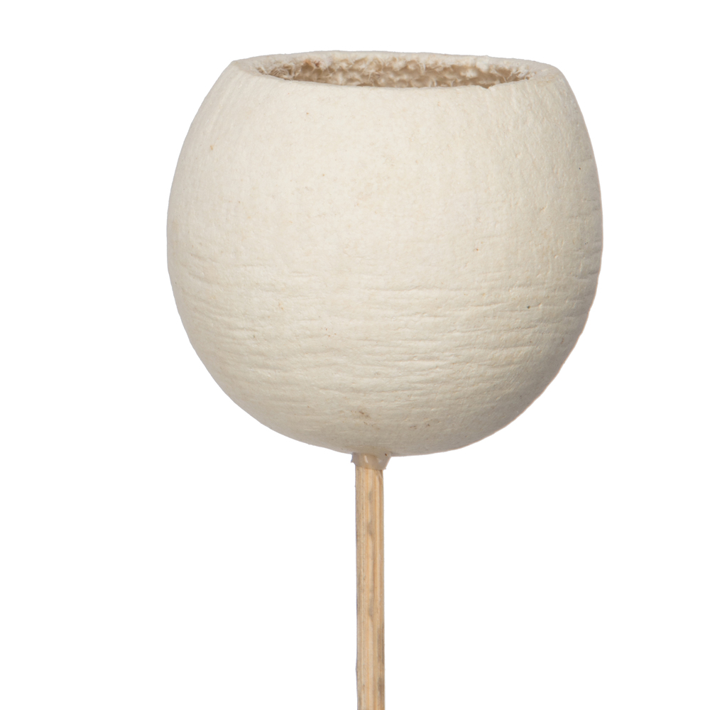20" Bell Cup Bleached Stem 40/pk