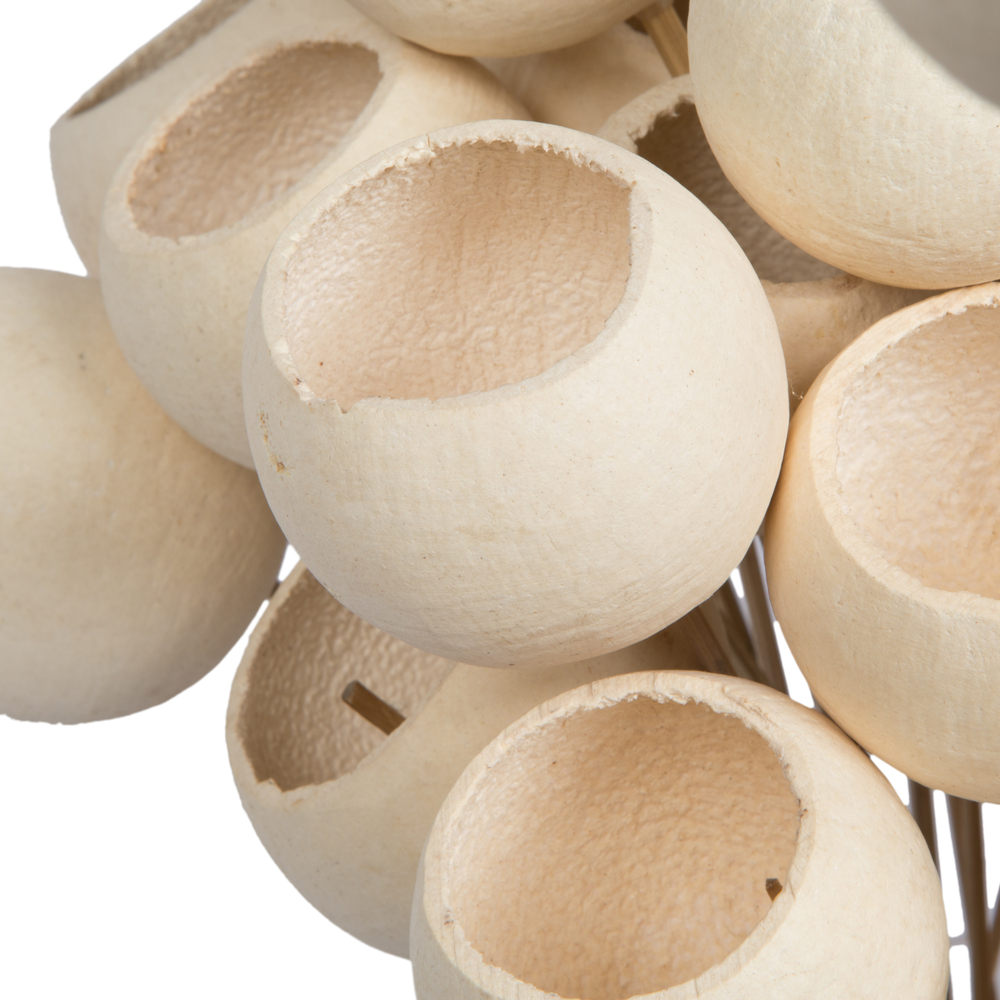 20" Bell Cup Bleached Stem 40/pk