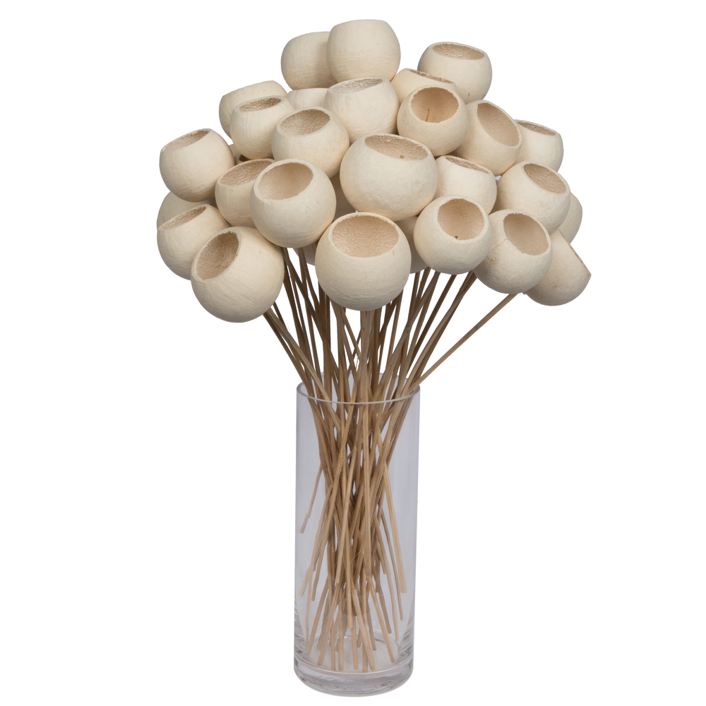 20" Bell Cup Bleached Stem 40/pk