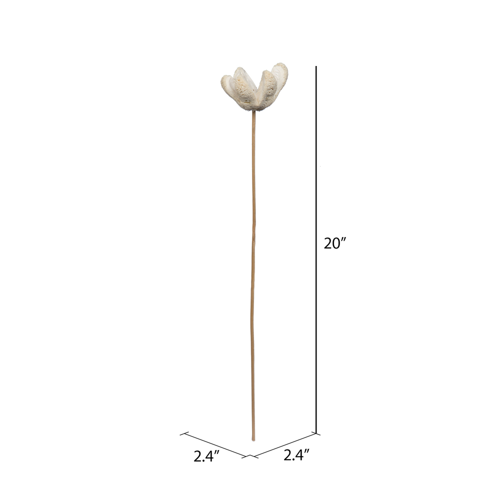 20" Bullet Flower Bleached Stems 50/pk