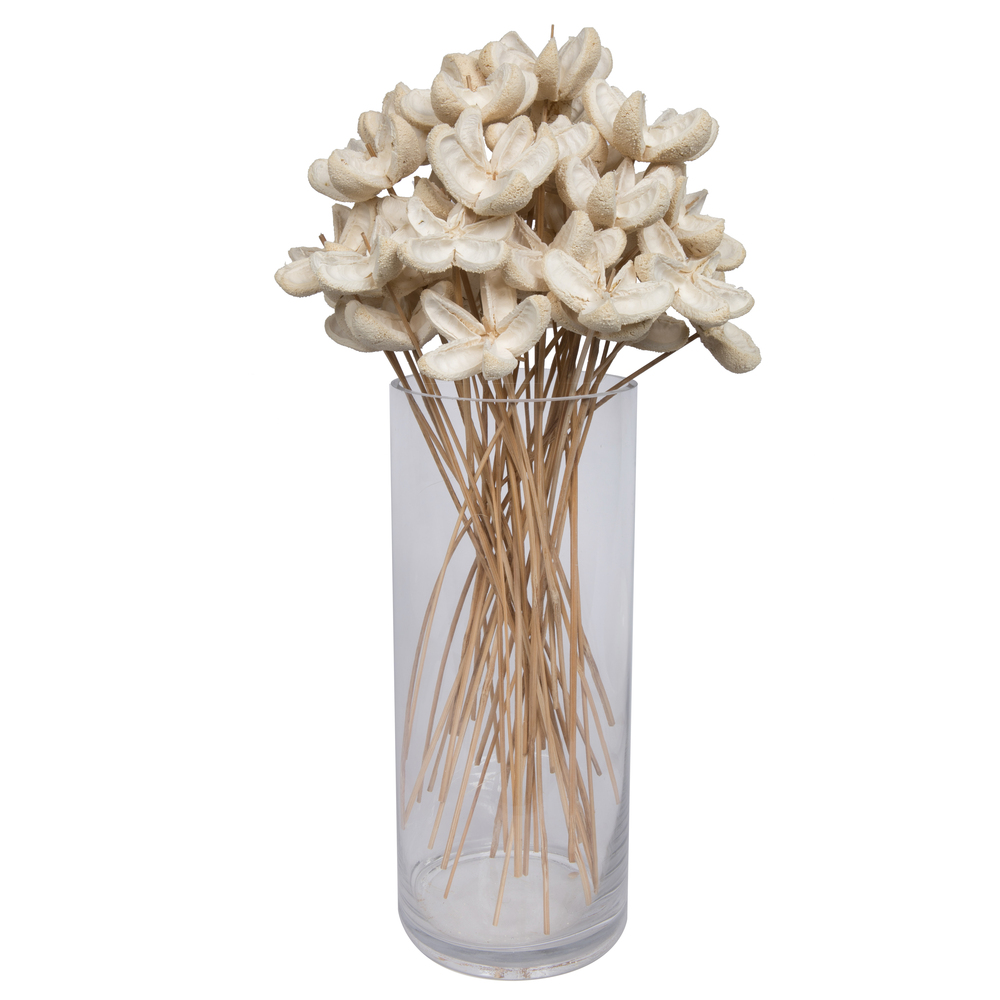 20" Bullet Flower Bleached Stems 50/pk