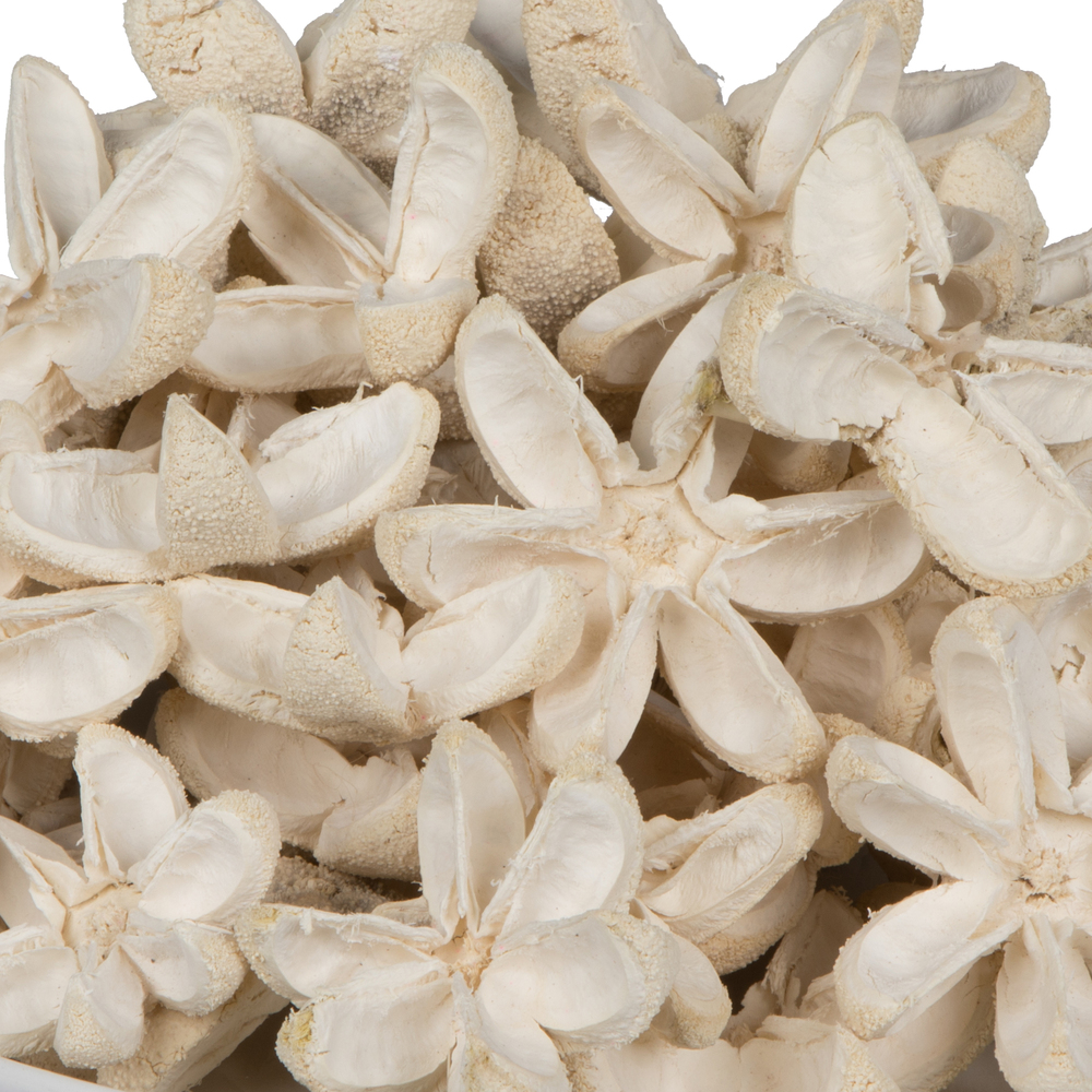 2.36" Bullet Flower Bleached 50/pk