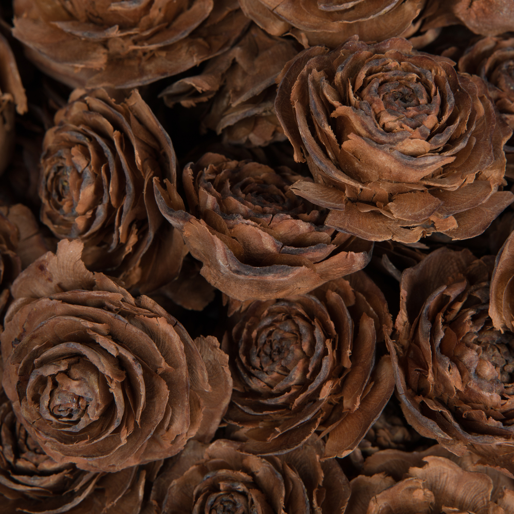 Vickerman Cedar Rose