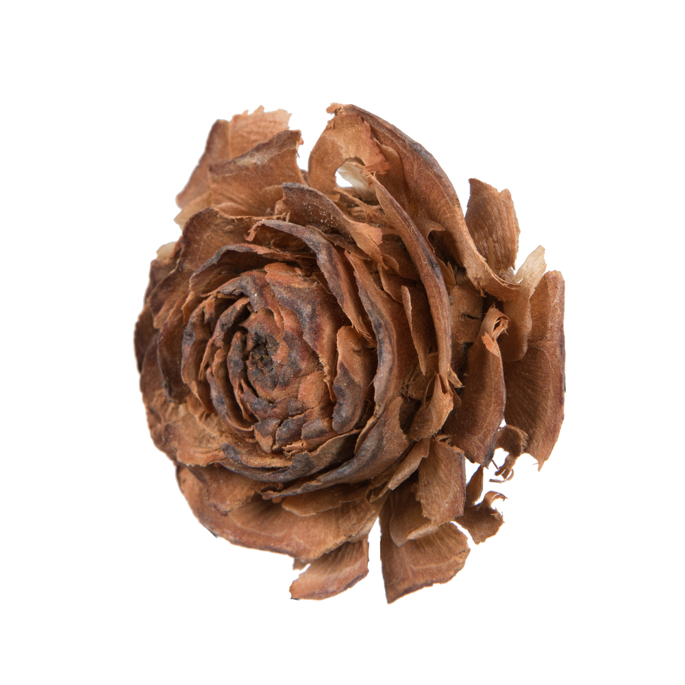 Vickerman Cedar Rose