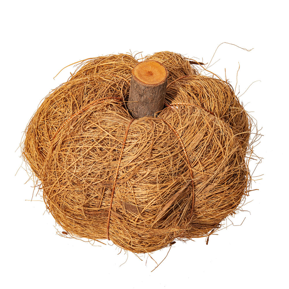 Vickerman Natural Botanicals Dried Hand Crafted Coconut Coir Pumpkin