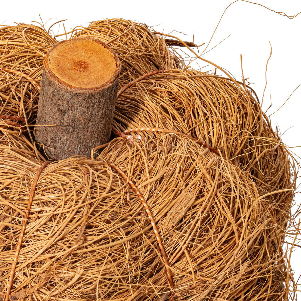 Vickerman Natural Botanicals Dried Hand Crafted Coconut Coir Pumpkin