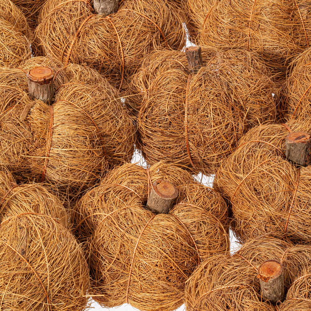 Vickerman Natural Botanicals Dried Hand Crafted Coconut Coir Pumpkin