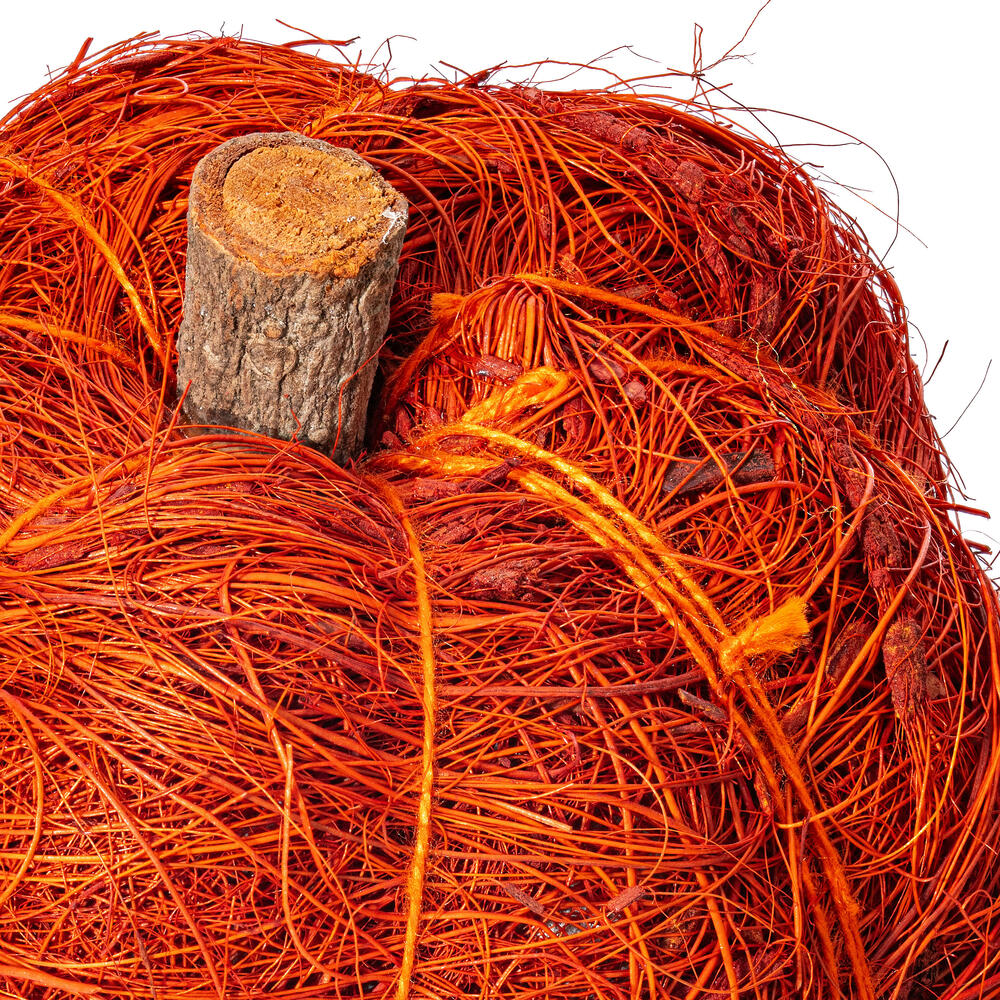 Vickerman Natural Botanicals Dried Hand Crafted Coconut Coir Pumpkin