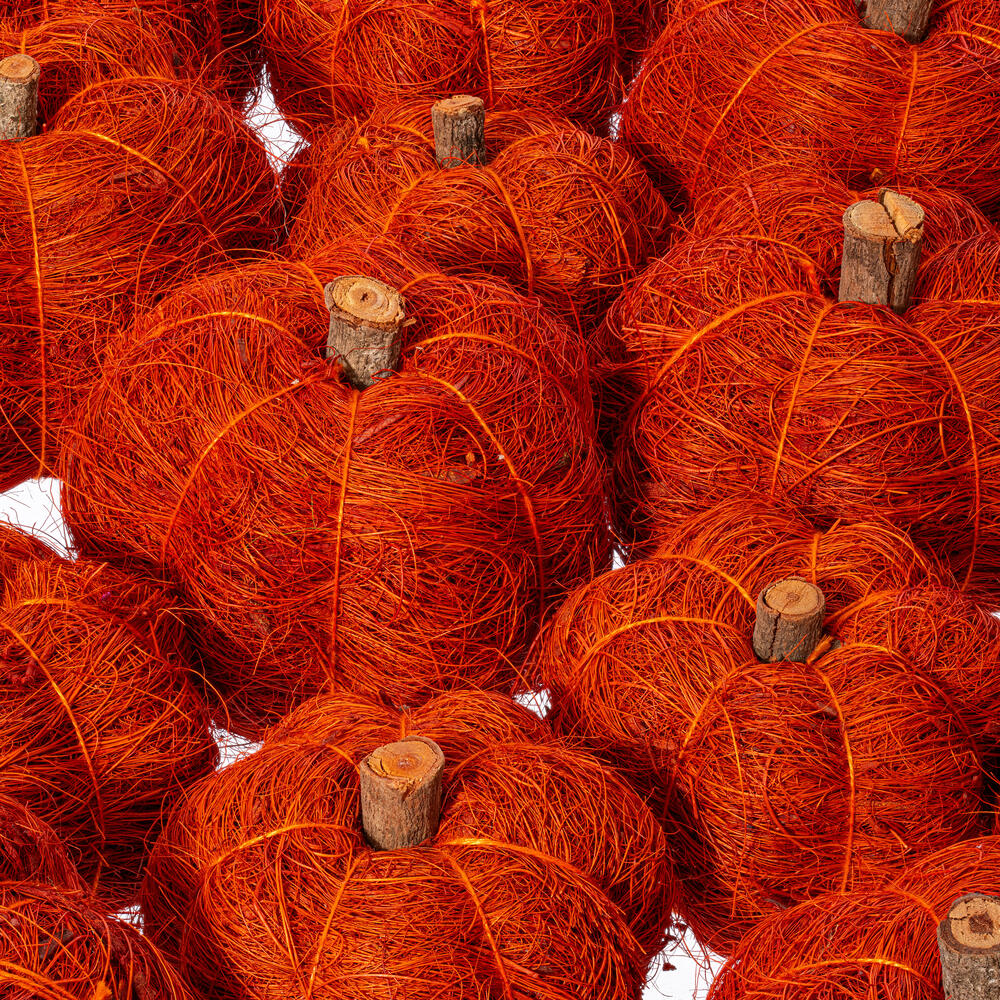 Vickerman Natural Botanicals Dried Hand Crafted Coconut Coir Pumpkin