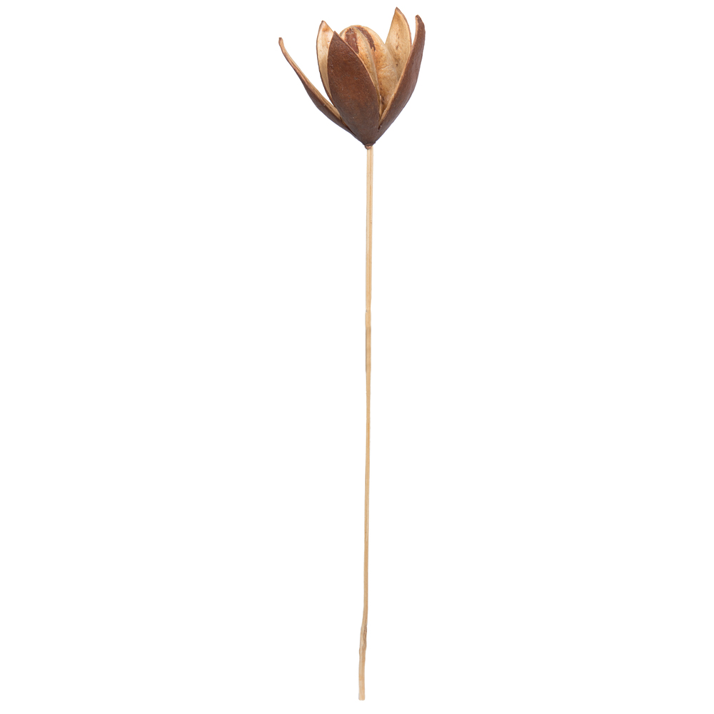 20" Lily on Stem 50/pk