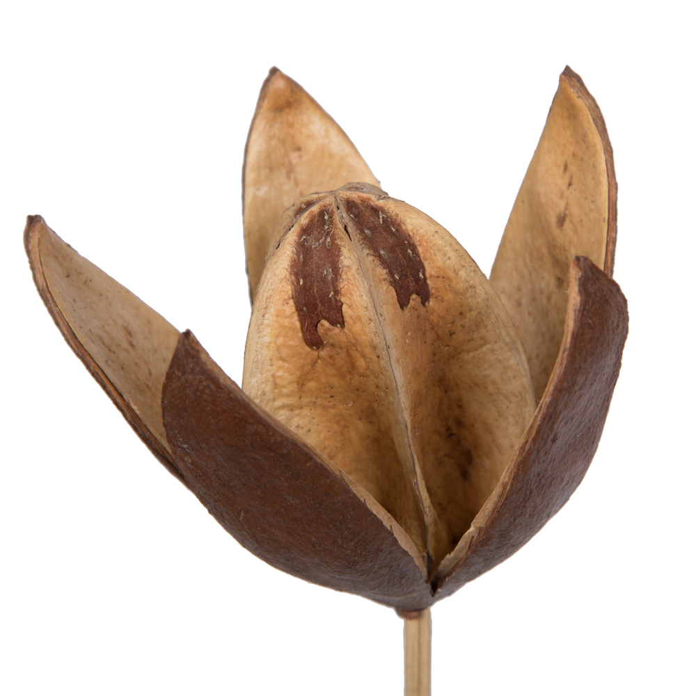 20" Lily on Stem 50/pk