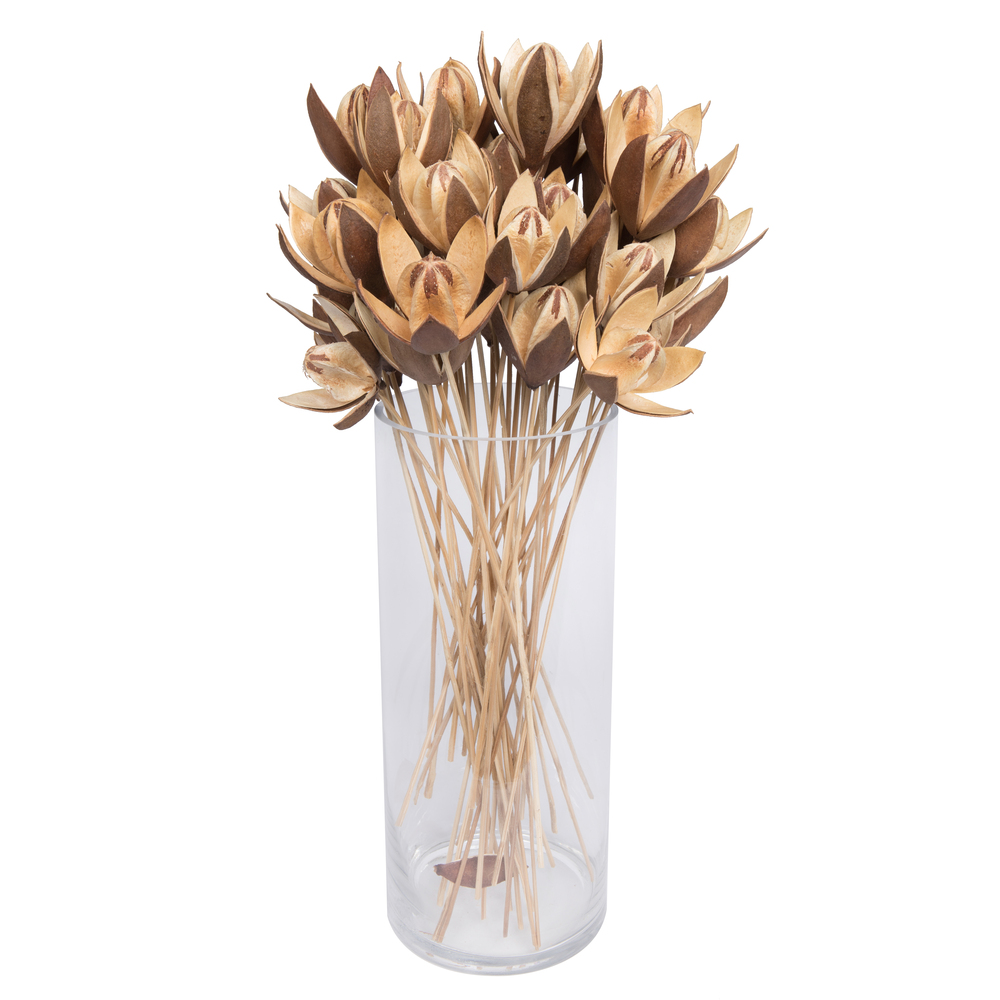 20" Lily on Stem 50/pk