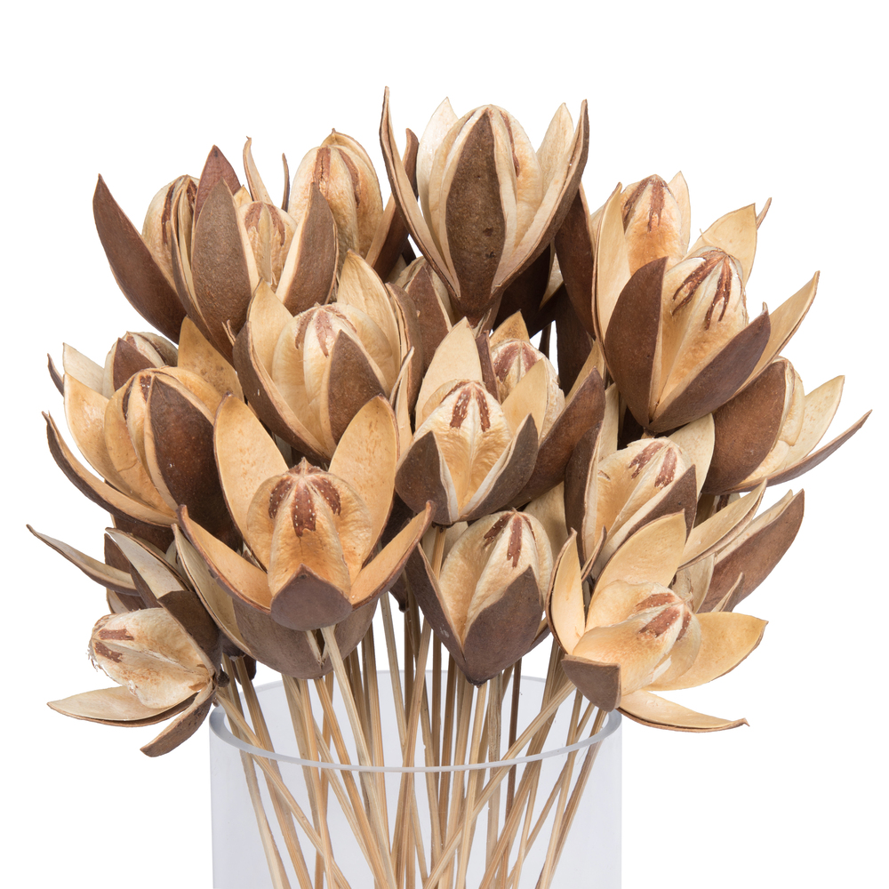 20" Lily on Stem 50/pk