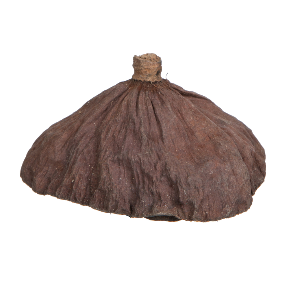 Vickerman Natural Botanicals Lotus Pod
