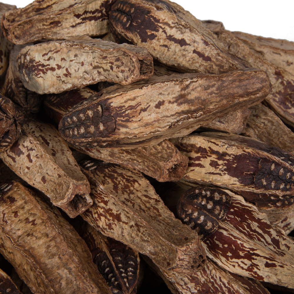 2.8" Mahogany Pods Natural 100/pk