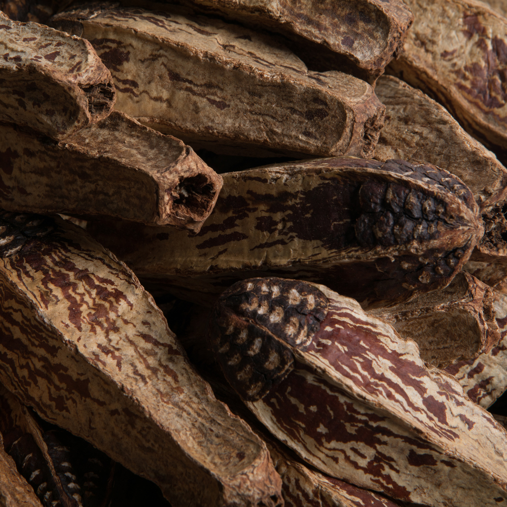 2.8" Mahogany Pods Natural 100/pk