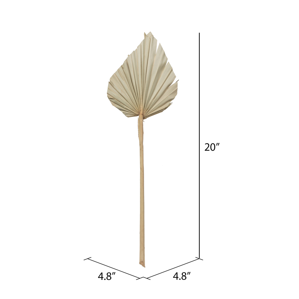 16-20" x 5" Dried Nat Palm Spear 50/pk