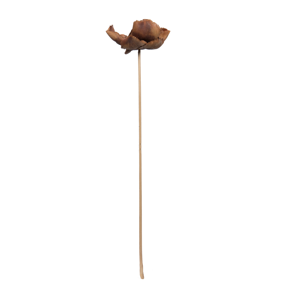 Vickerman Natural Botanicals 2.75" Palm Cap, on Stem