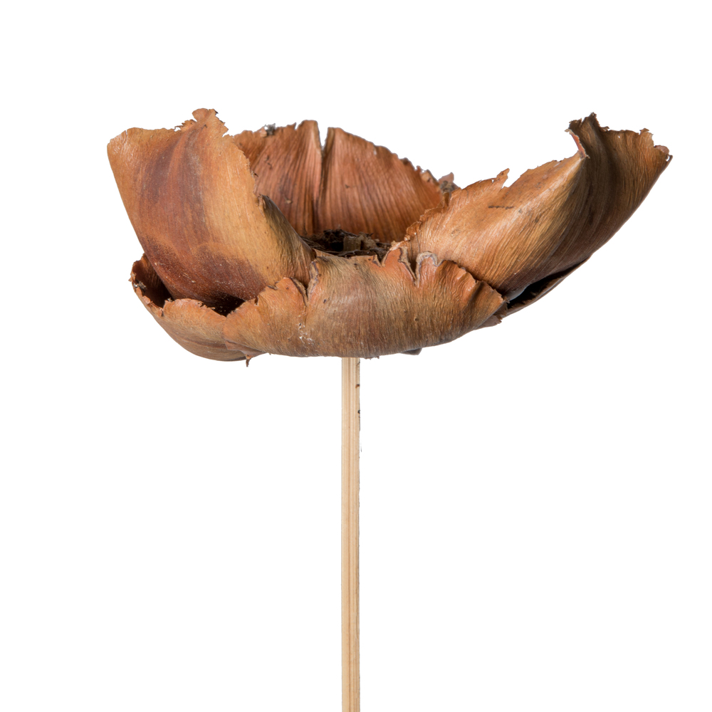 Vickerman Natural Botanicals 2.75" Palm Cap, on Stem