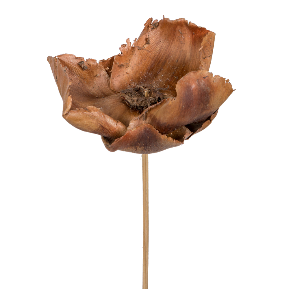 Vickerman Natural Botanicals 2.75" Palm Cap, on Stem