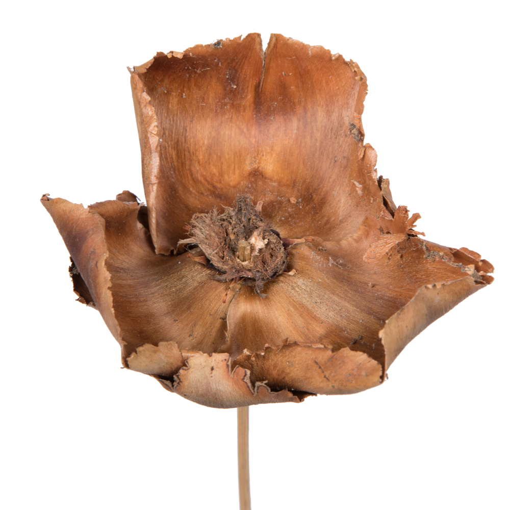 Vickerman Natural Botanicals 2.75" Palm Cap, on Stem
