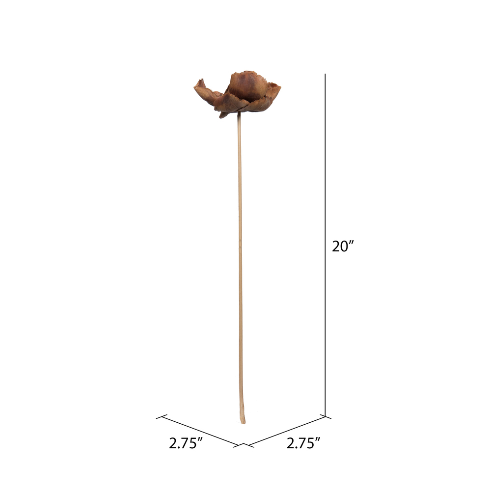 Vickerman Natural Botanicals 2.75" Palm Cap, on Stem