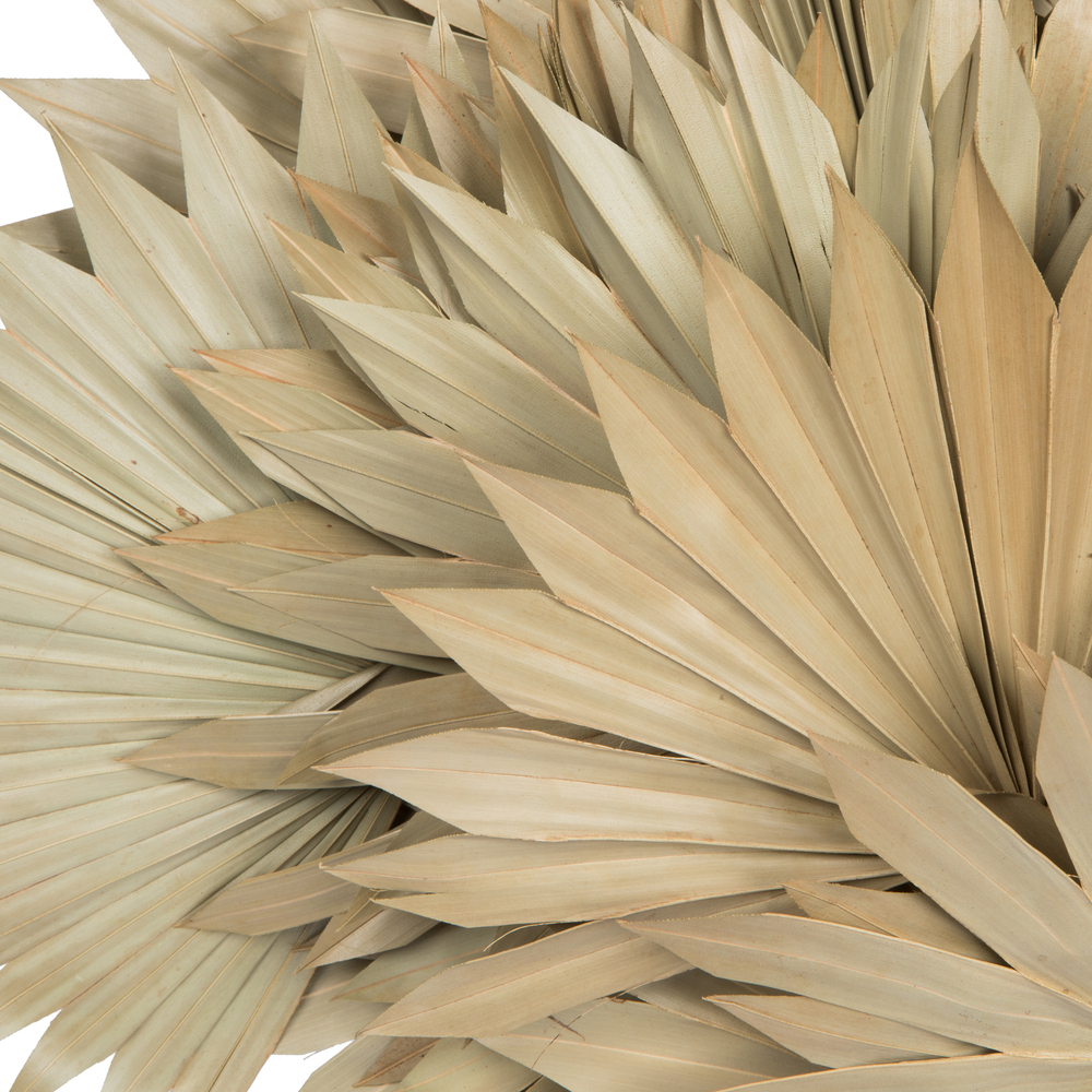 20" x 15" Dried Nat Palm Sun Spr 50/pk