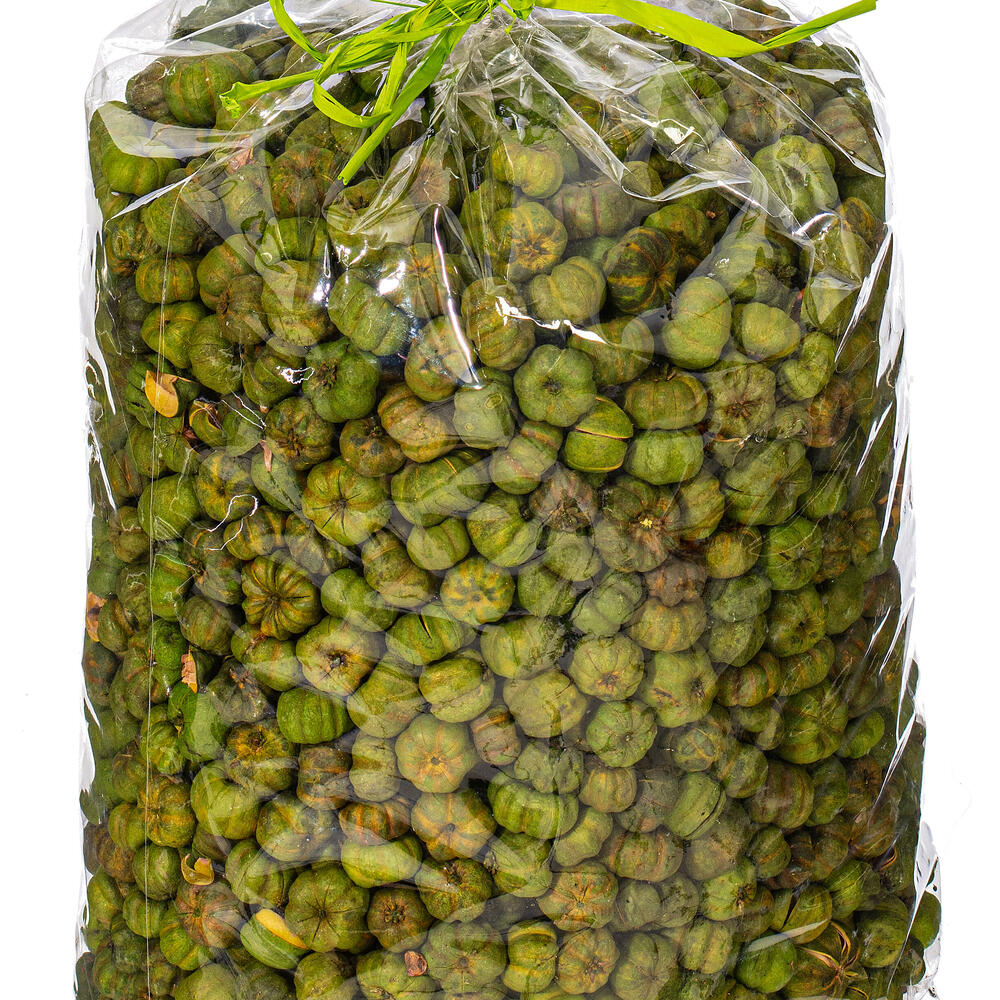 Vickerman Natural Botanicals Dried .25-.5 inch Putka Pods